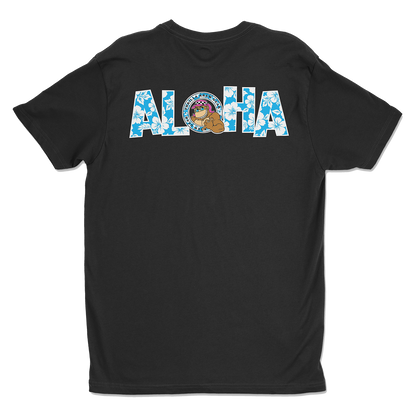 Aloha 26
