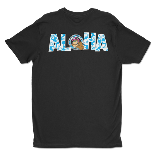 Aloha 26
