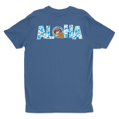 Aloha 26
